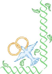 rings and dove